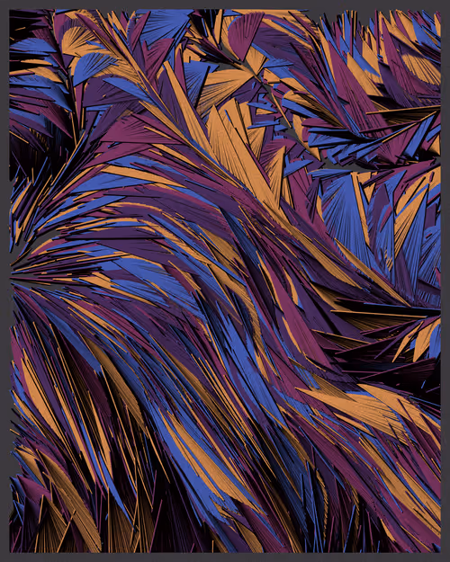 Item #21000065 Media