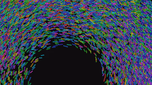 Item #293000018 Media