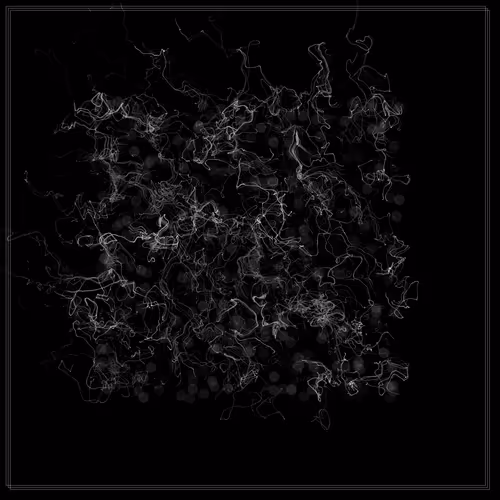 Item #103000004 Media