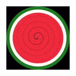 FREE WATERMELONS #16