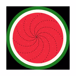 FREE WATERMELONS #60