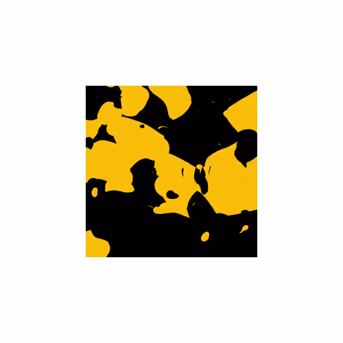 Item #124000002 Media