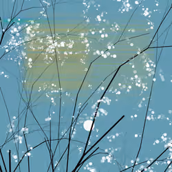 conversation with the wind #238
