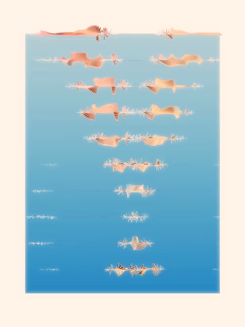 Item #290000080 Media