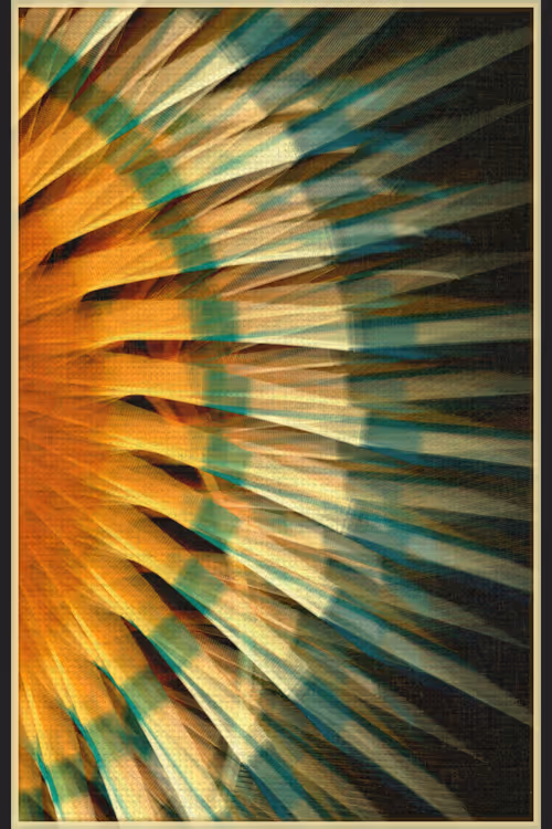 Item #13000020 Media