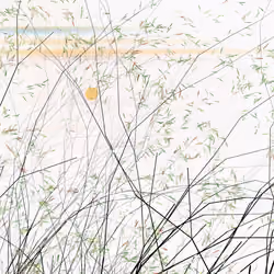 conversation with the wind #987