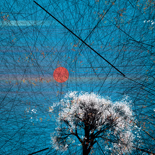 Conversation With The Wind By Reza Milani