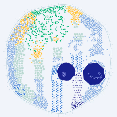 Item #194000001 Media