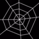 232000210