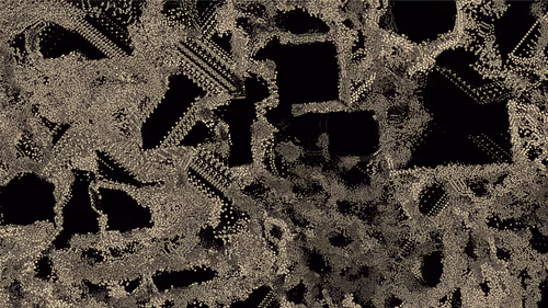 Item #199000010 Media