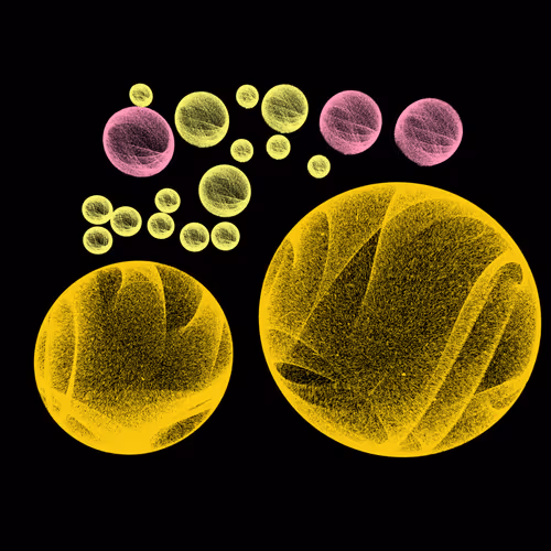 Item #277000003 Media