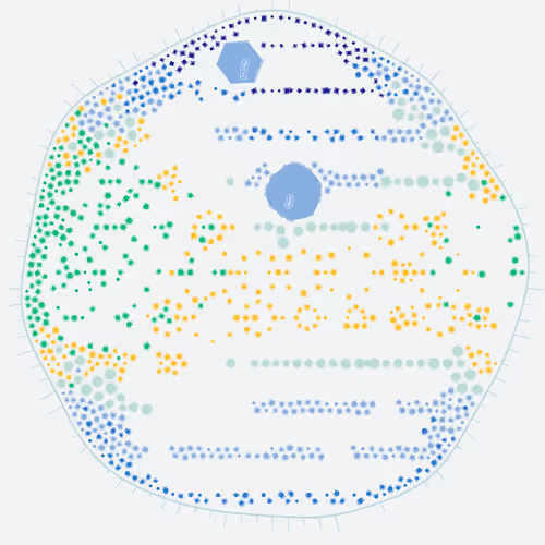 Item #194000002 Media