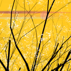 conversation with the wind #311