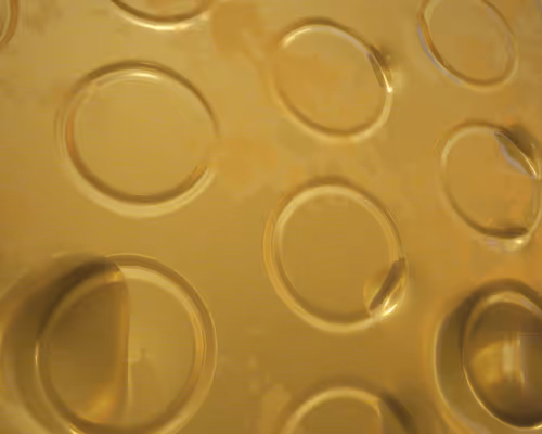 Item #296000000 Media