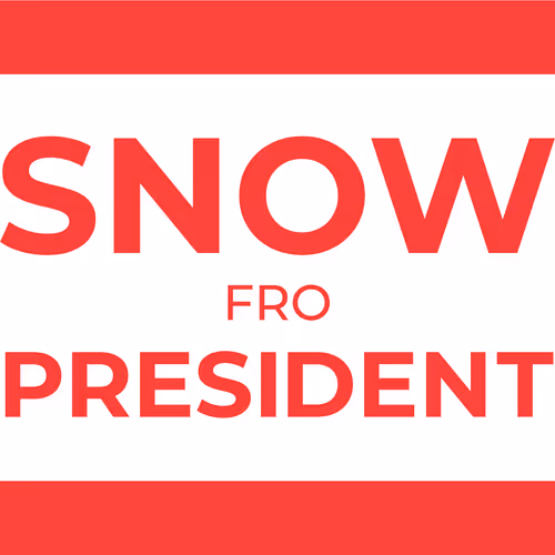 Snowfro For President By Michael Little Mikey