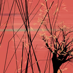 conversation with the wind #990