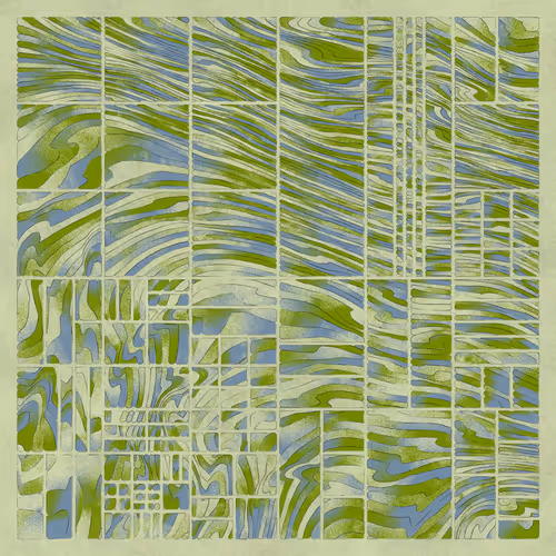 Topowarp By Erfanhoseini