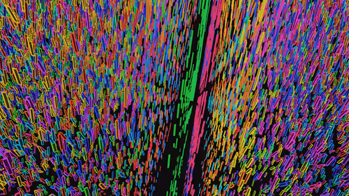 Item #293000014 Media