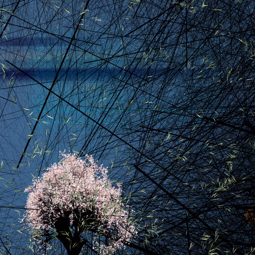 Conversation With The Wind By Reza Milani