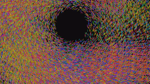 Item #293000048 Media