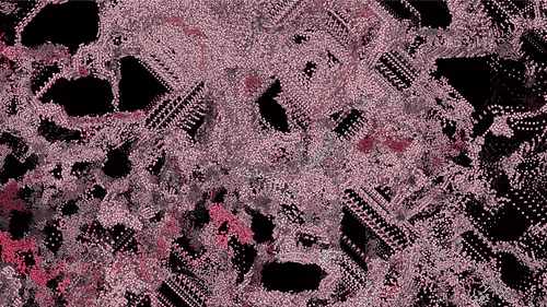 Item #199000009 Media