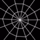 232000204
