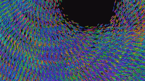 Item #293000030 Media