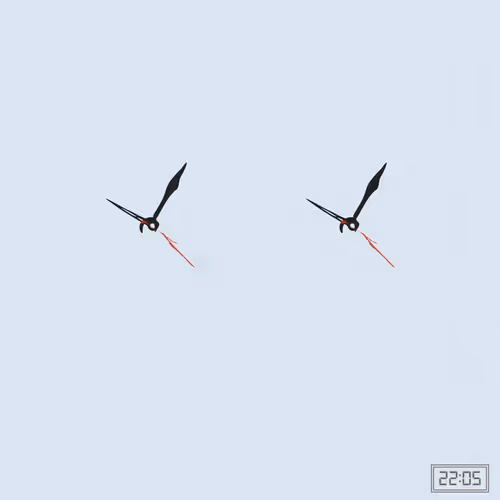 Item #331000312 Media