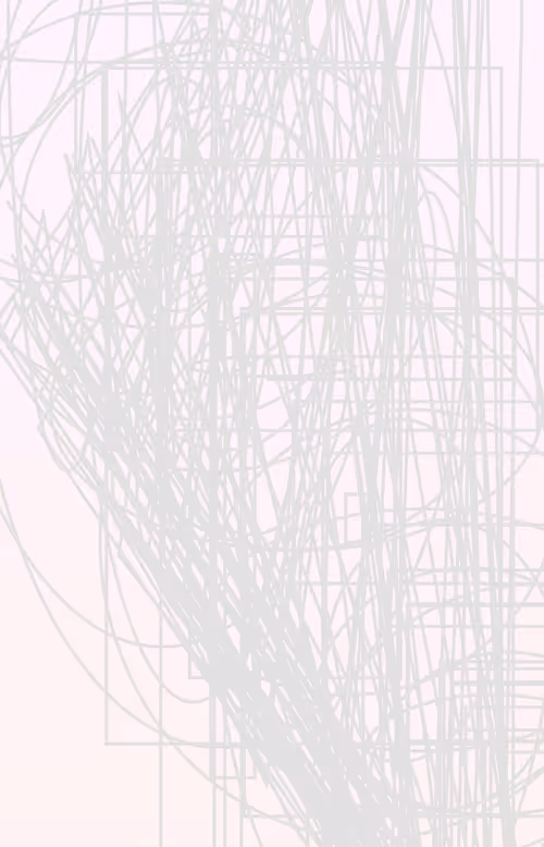 Item #25000005 Media