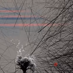 conversation with the wind #981