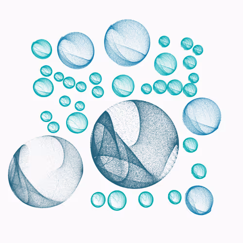 Item #277000008 Media