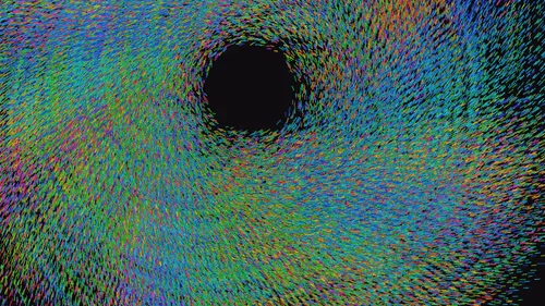 Item #293000054 Media