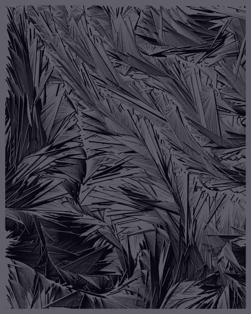 Item #21000025 Media