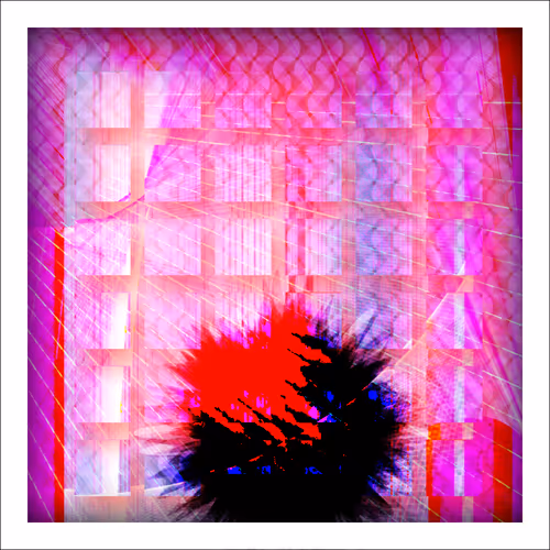 Item #14000019 Media