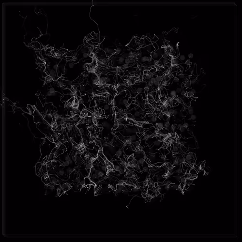 Item #103000005 Media