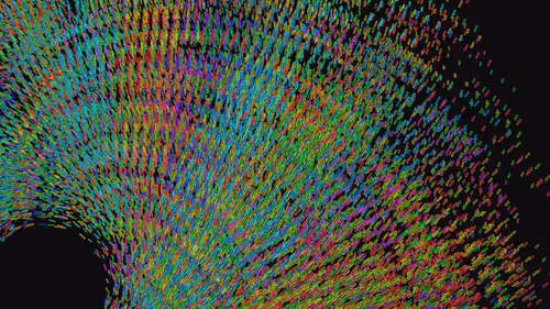 Item #293000002 Media