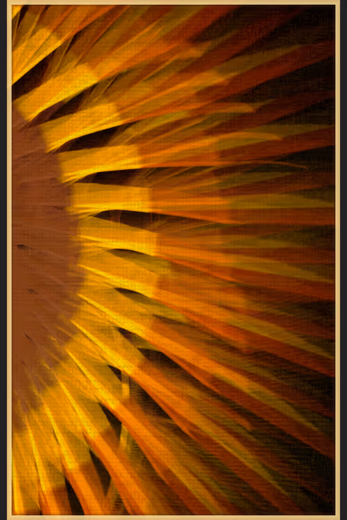 Item #13000010 Media