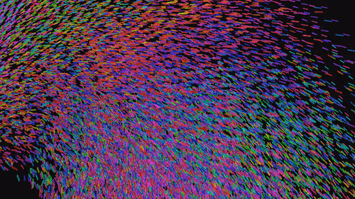 Item #293000001 Media