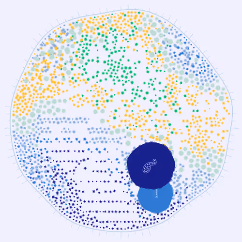 Item #194000011 Media