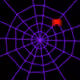 232000207