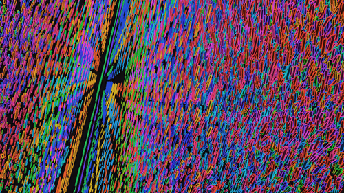 Item #293000031 Media