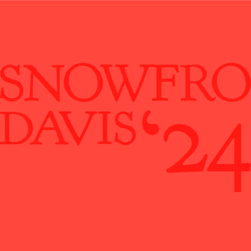 Snowfro For President By Michael Little Mikey