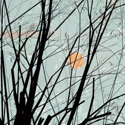 conversation with the wind #11