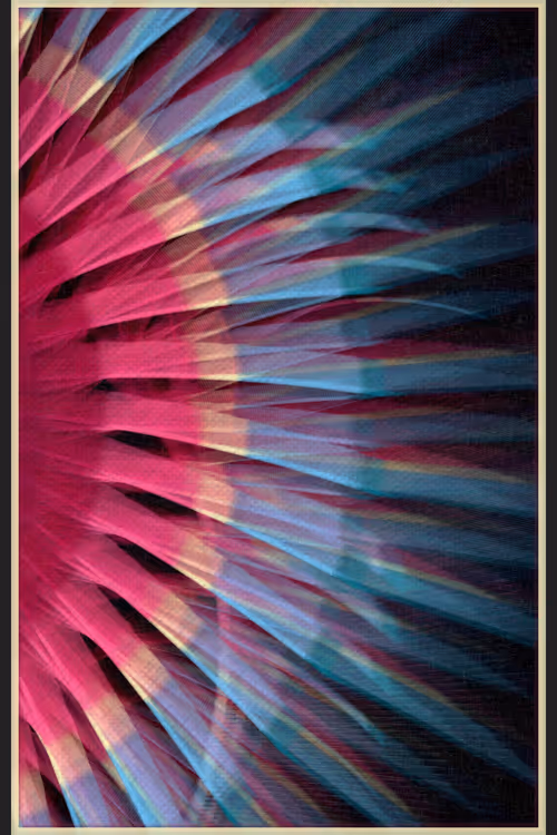 Item #13000019 Media