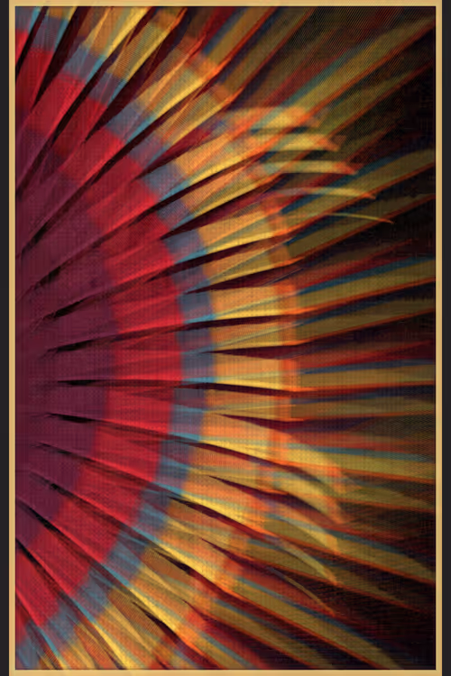 Item #13000009 Media