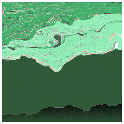 Item #265000011 Media