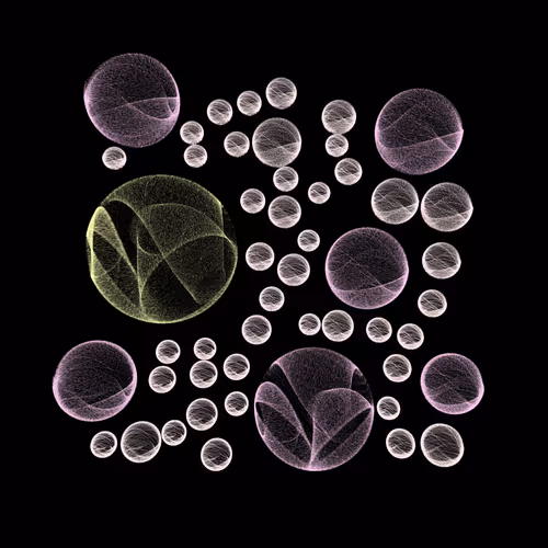 Item #277000018 Media