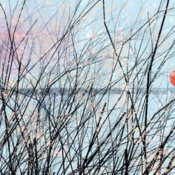 conversation with the wind #237