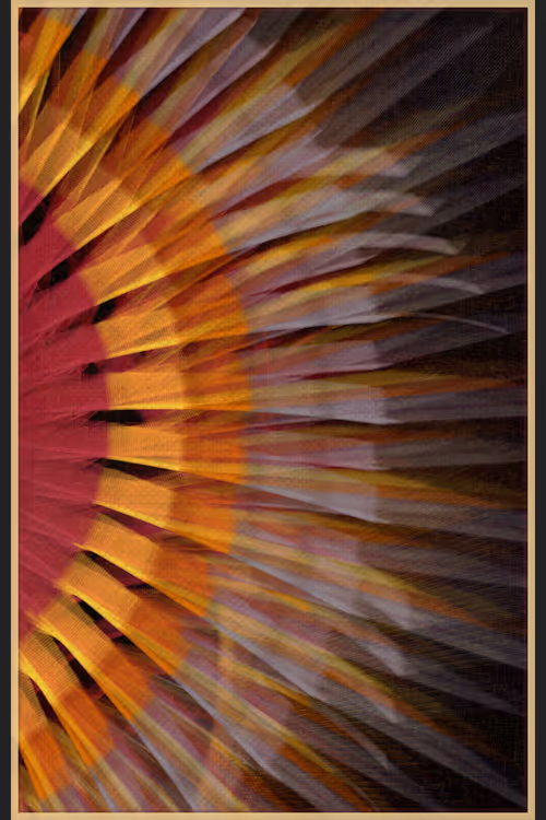 Item #13000029 Media