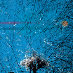 conversation with the wind #258